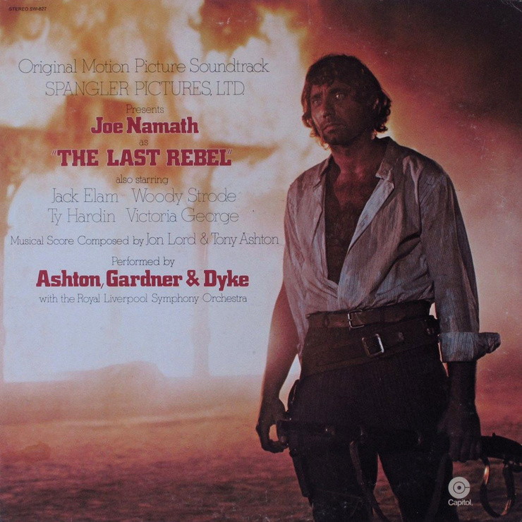 The Last Rebel