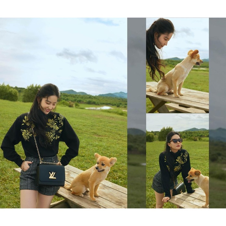 Yifei Liu