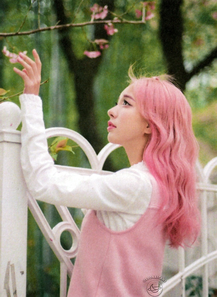 ViVi