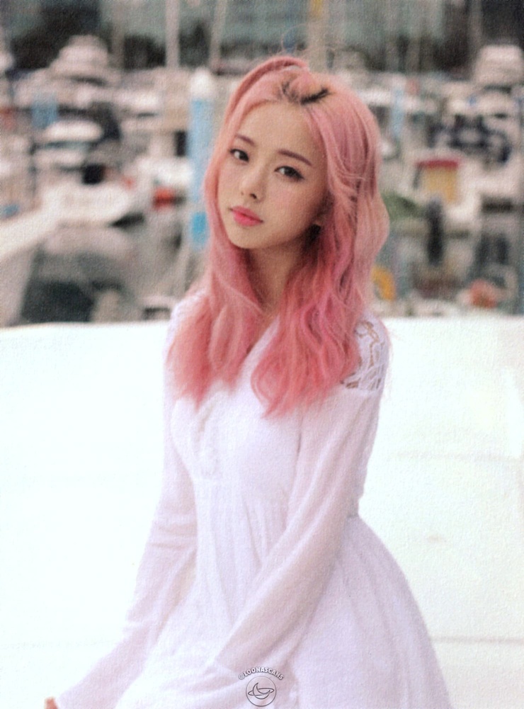 ViVi