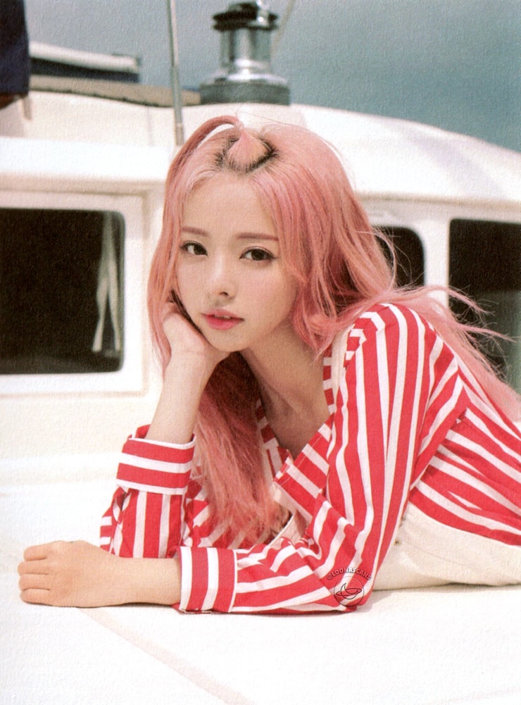 ViVi