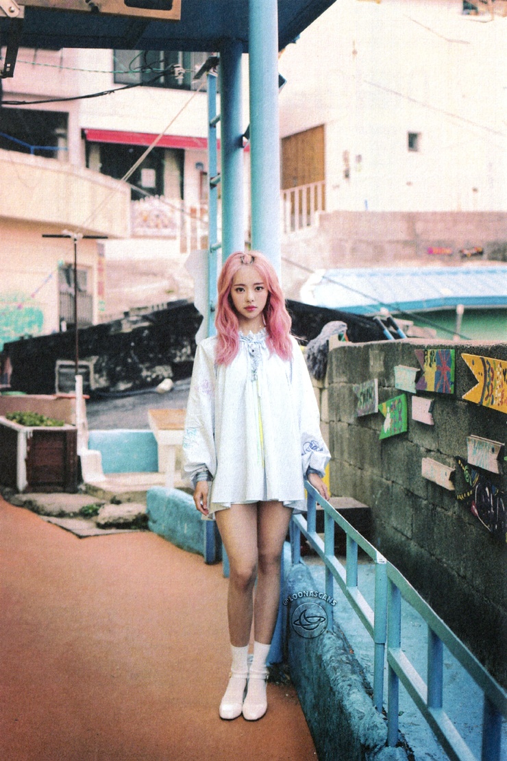 ViVi