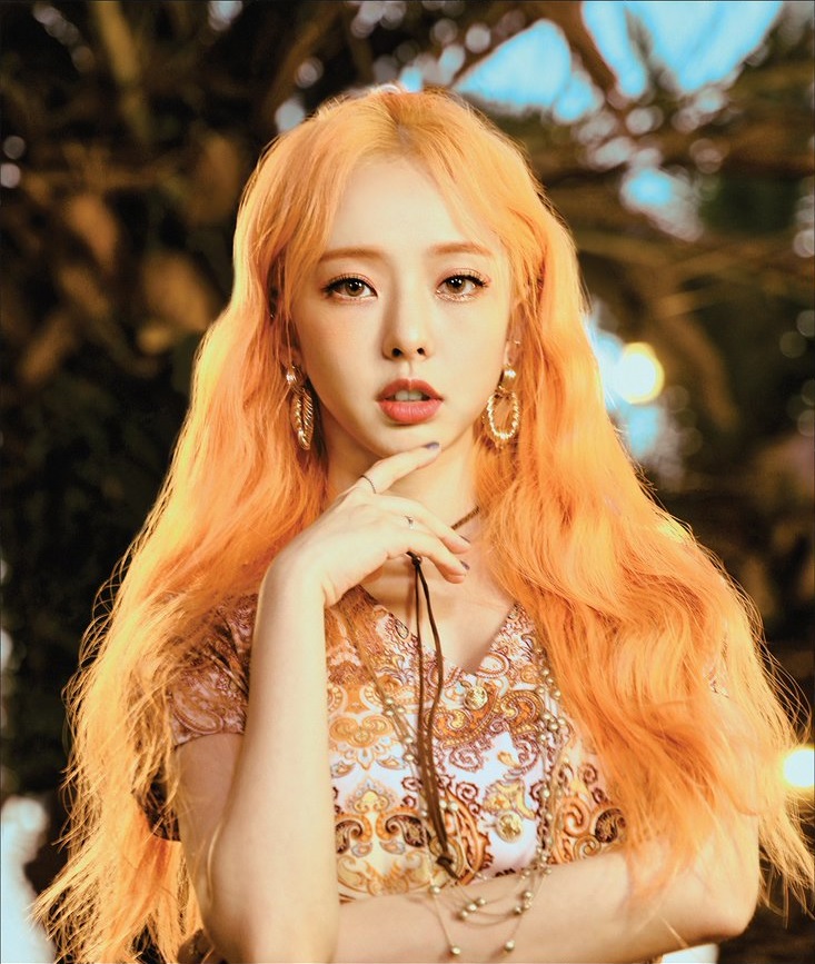 ViVi