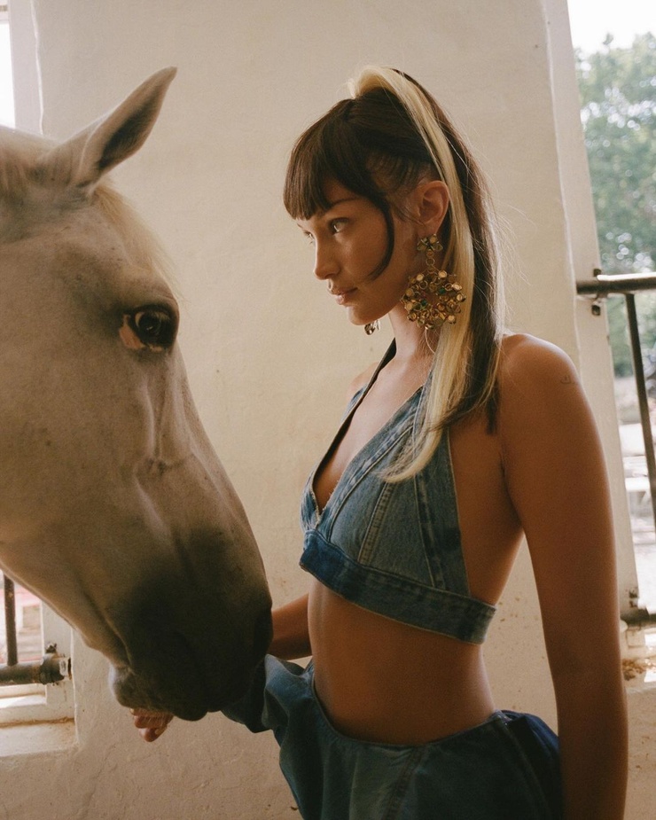 Bella Hadid