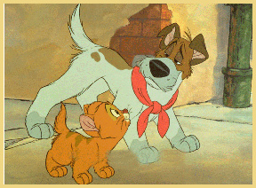 Oliver & Company