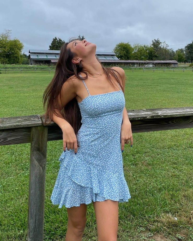 Lily Chee Lily Chee