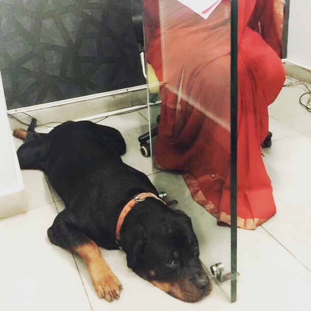Kavya Shetty