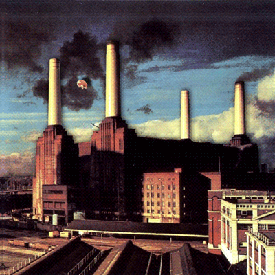 Animals