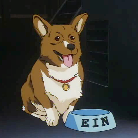 Ein (Cowboy Bebop)