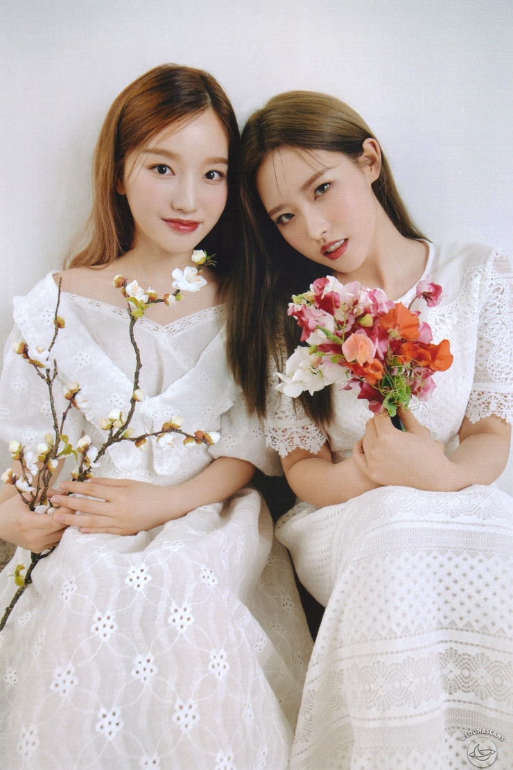 Loona (K-Pop)