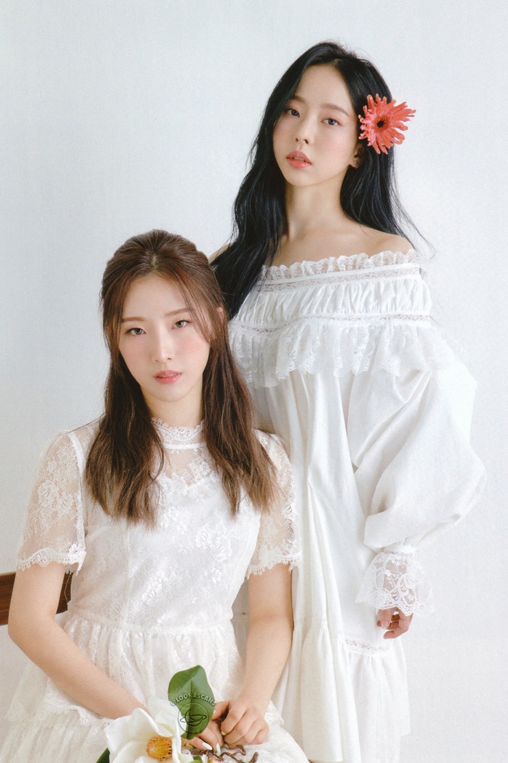 Loona (K-Pop)