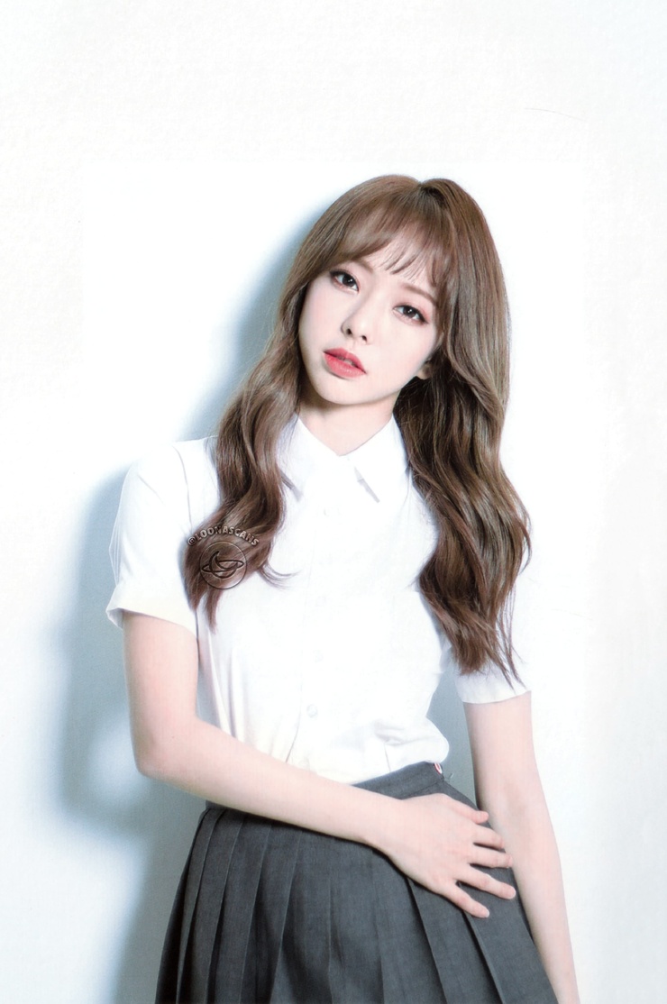 ViVi