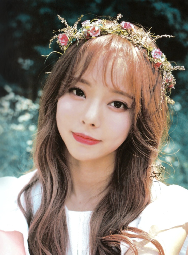 ViVi