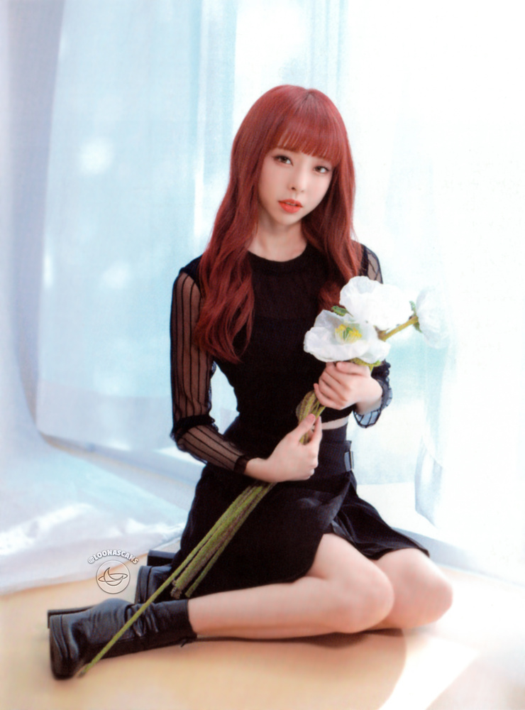 ViVi
