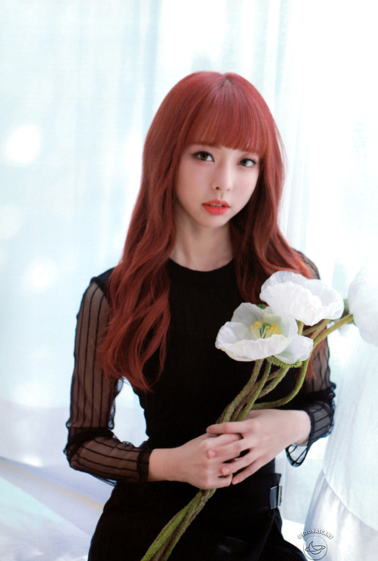ViVi