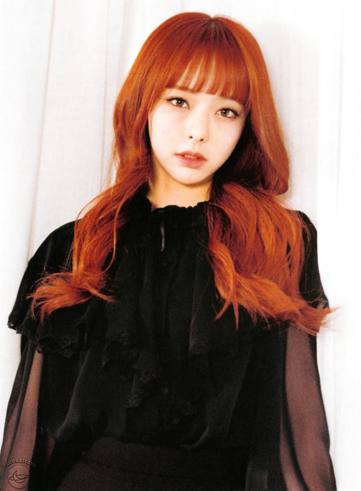 ViVi