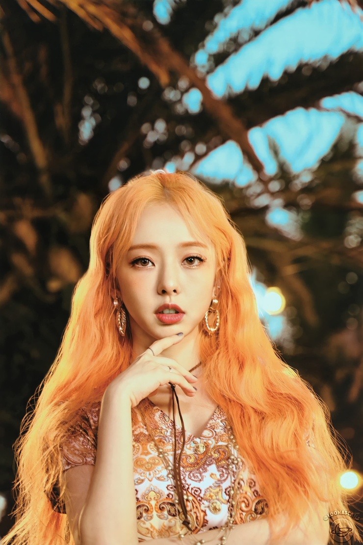 ViVi