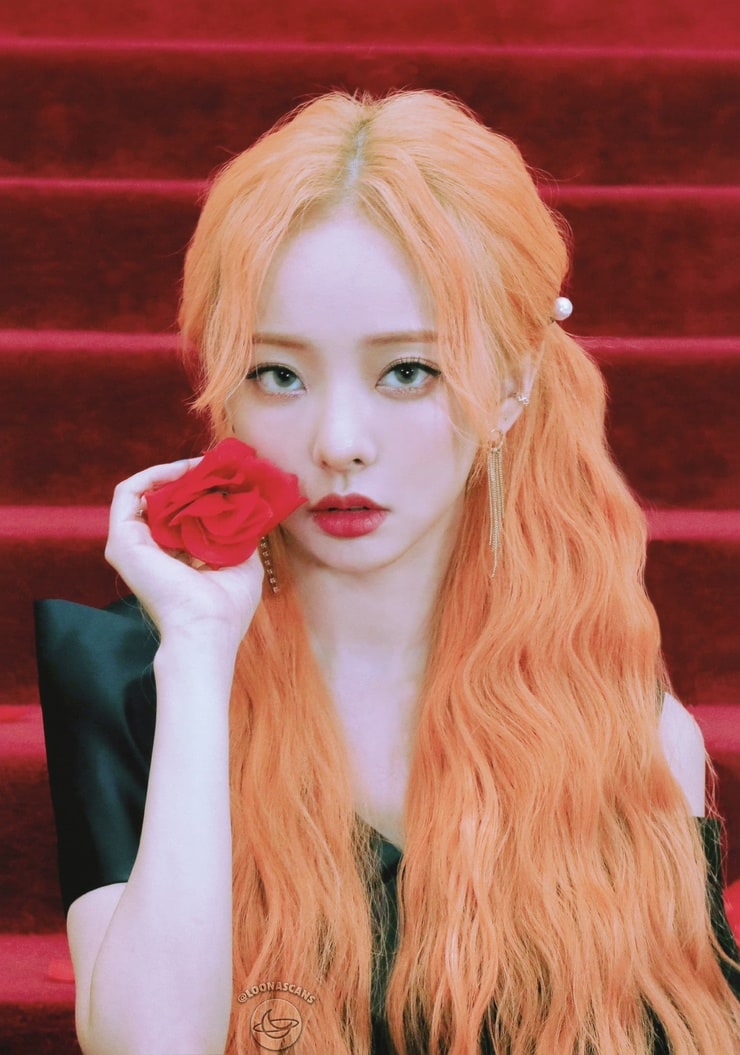 ViVi