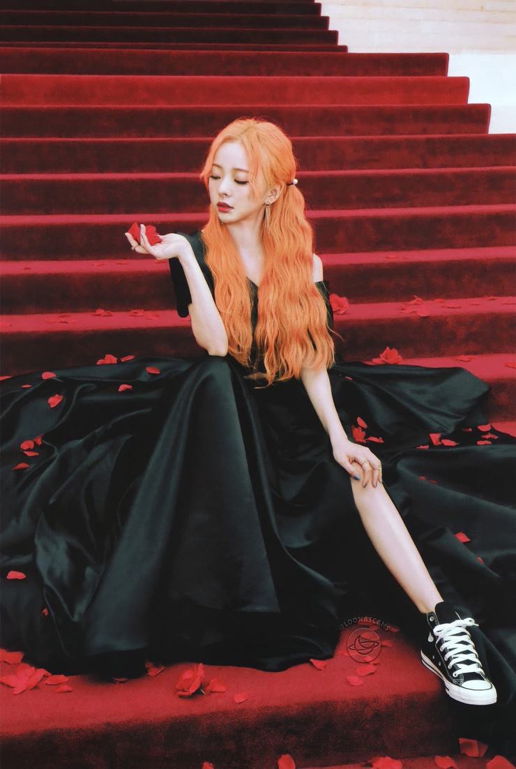ViVi