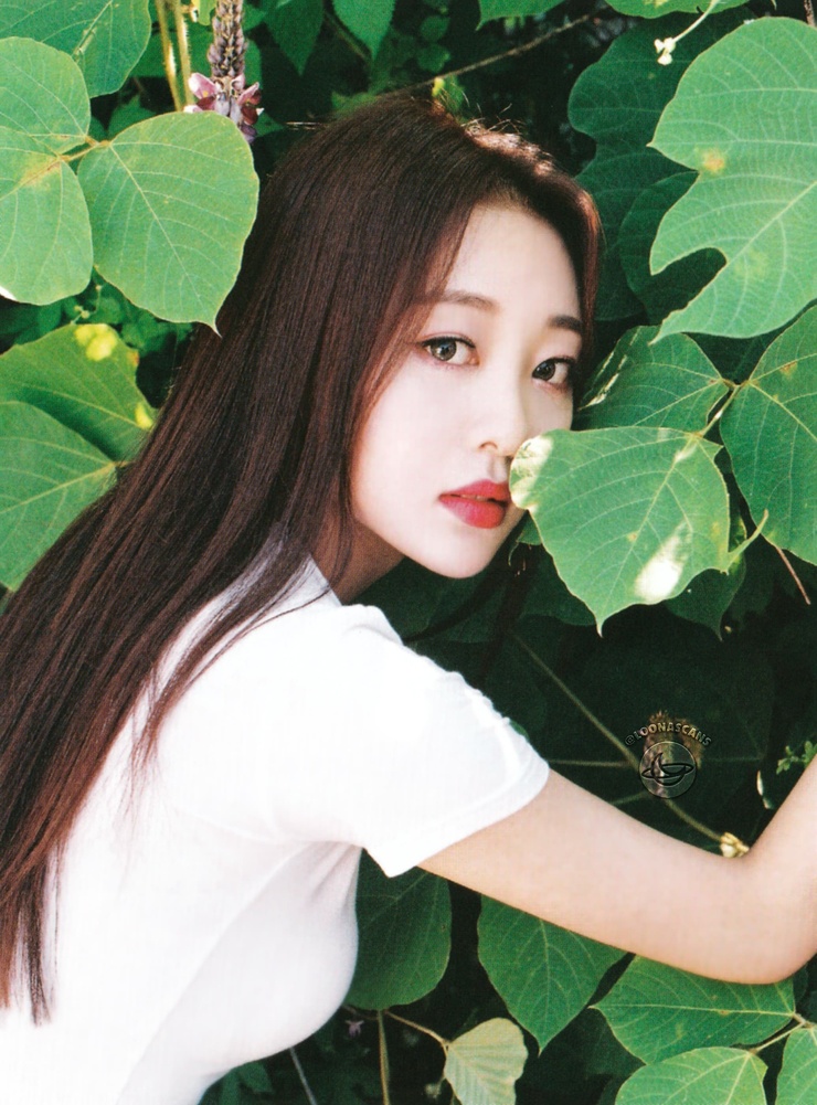 Yves