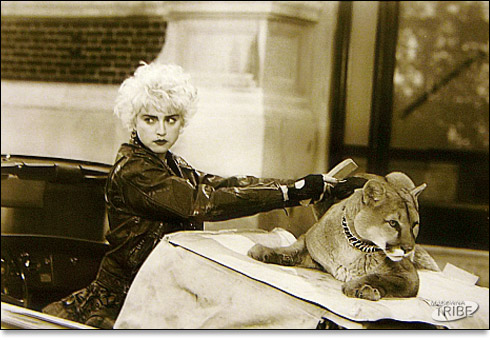 Madonna Madonna