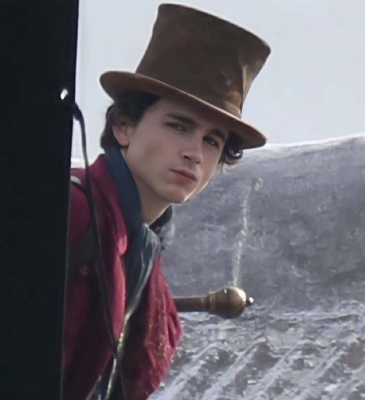 Timothée Chalamet