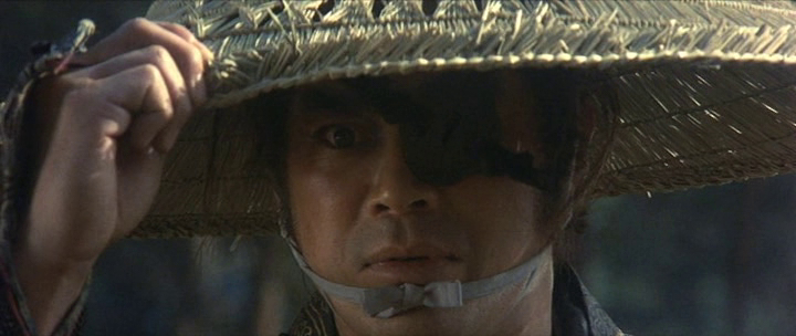 Shogun's Samurai