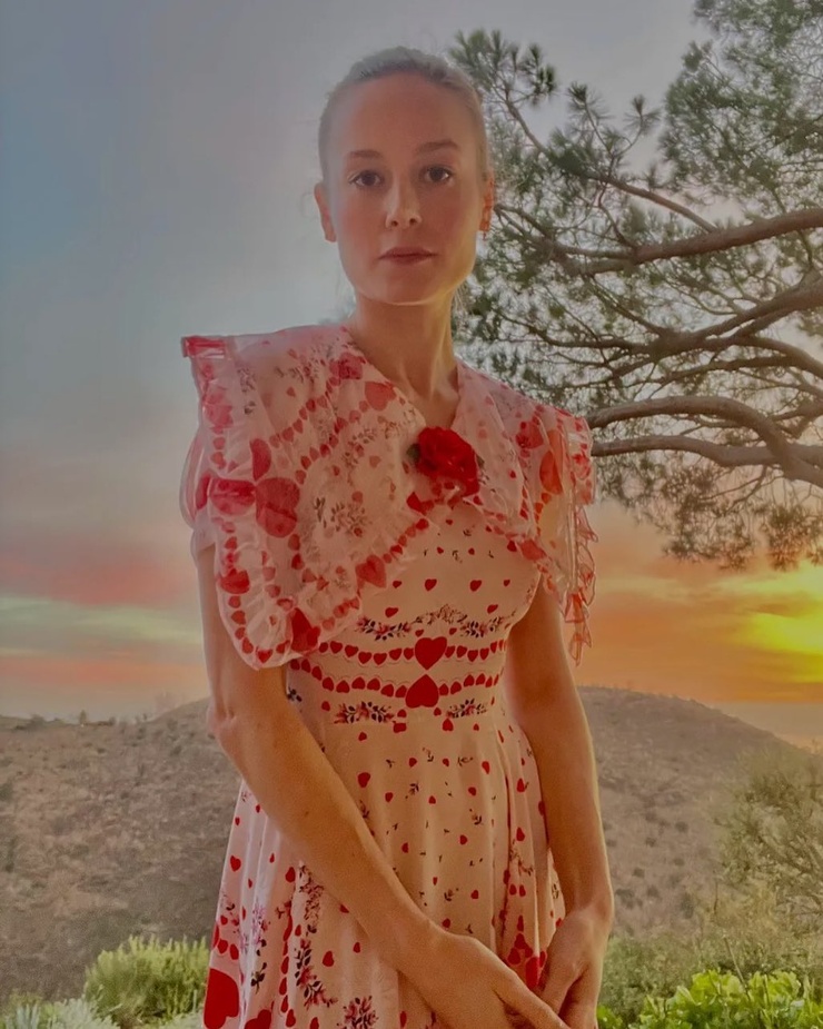Brie Larson