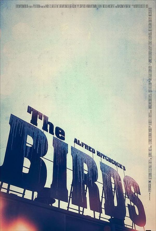 The Birds