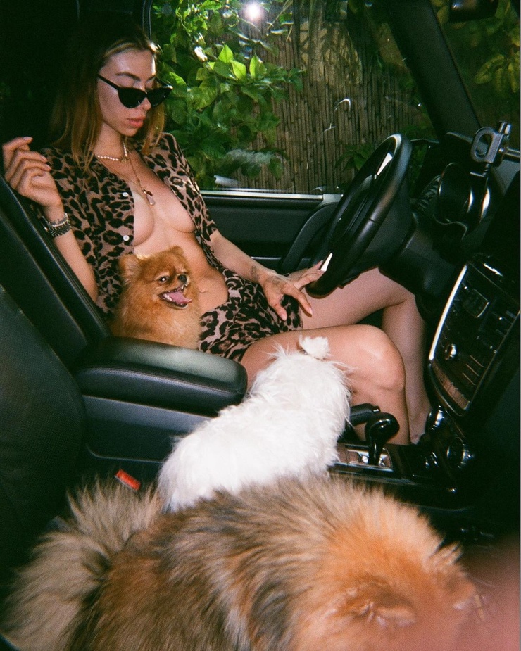 Immagine