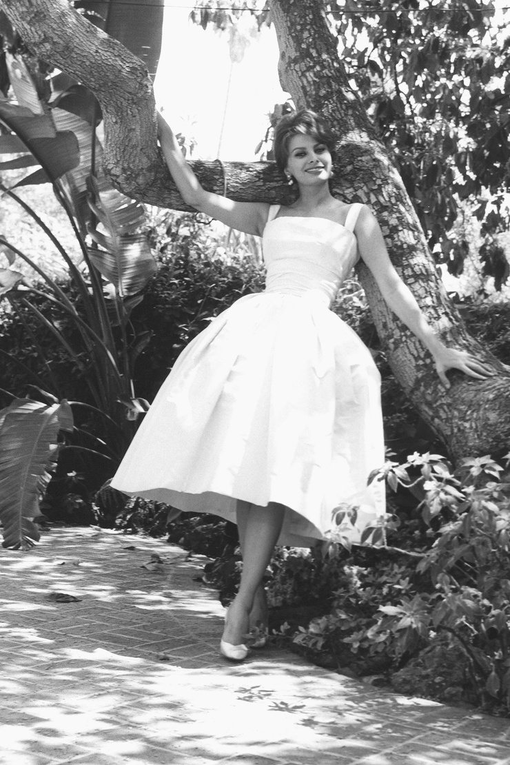 Sophia Loren Sophia Loren
