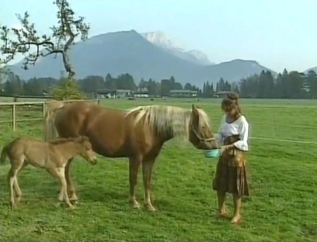 Heidi, Teil 5: und die lustigen Spritzbuben der Berge