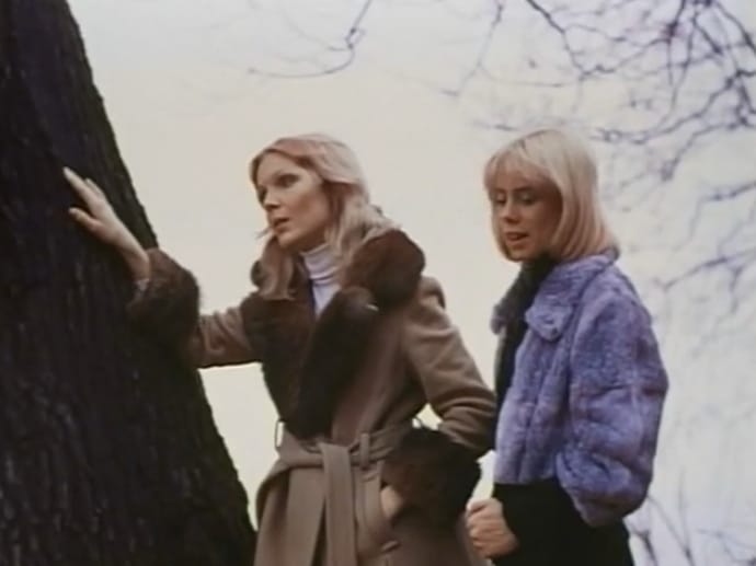 Confessions of a Young American Housewife