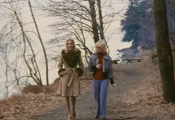 Confessions of a Young American Housewife