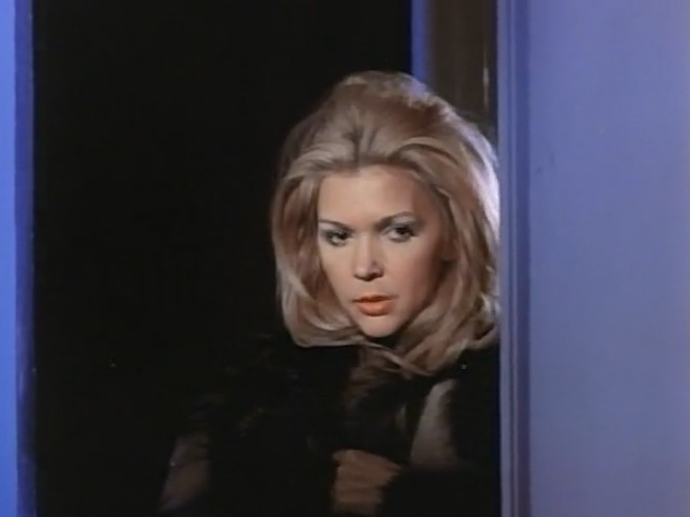 confessions of a young american housewife