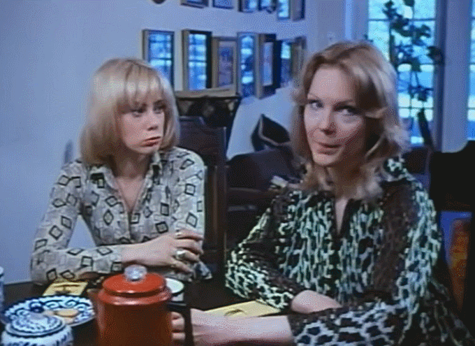 Confessions of a Young American Housewife