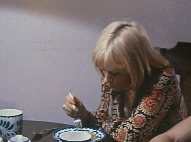 Confessions of a Young American Housewife