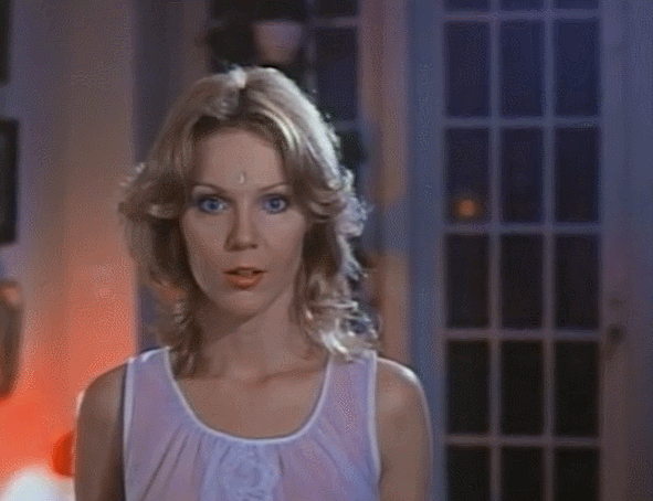Confessions of a Young American Housewife
