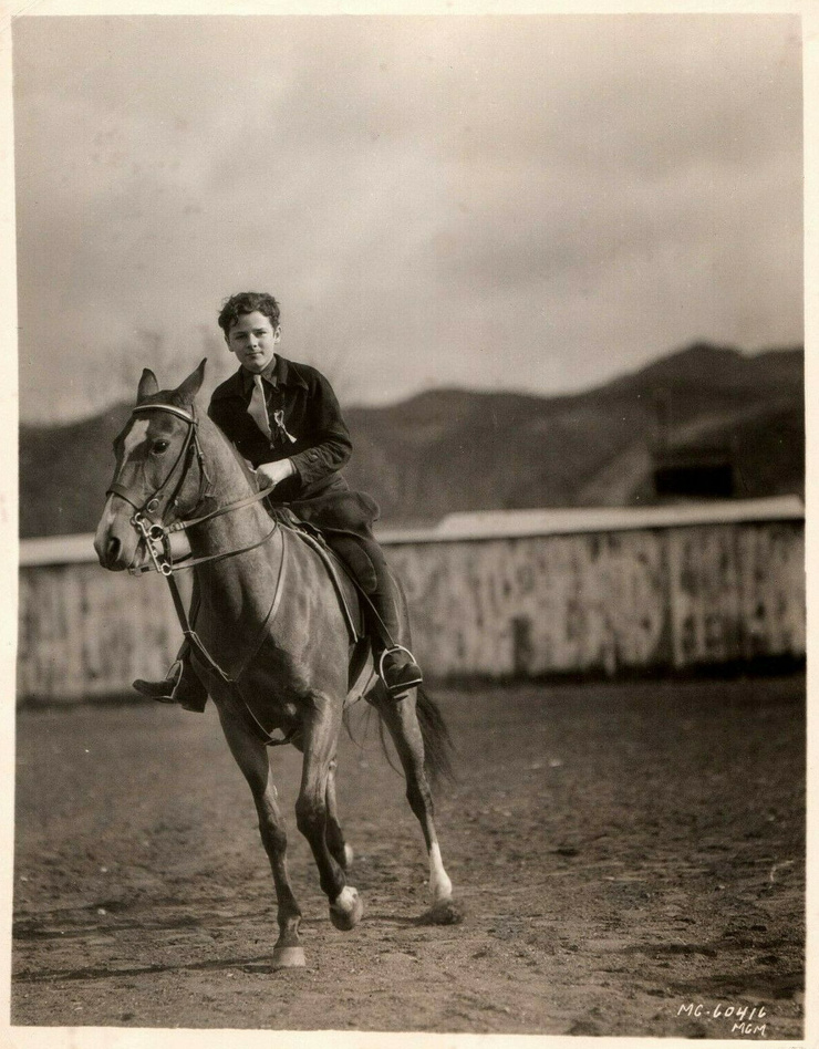 Freddie Bartholomew