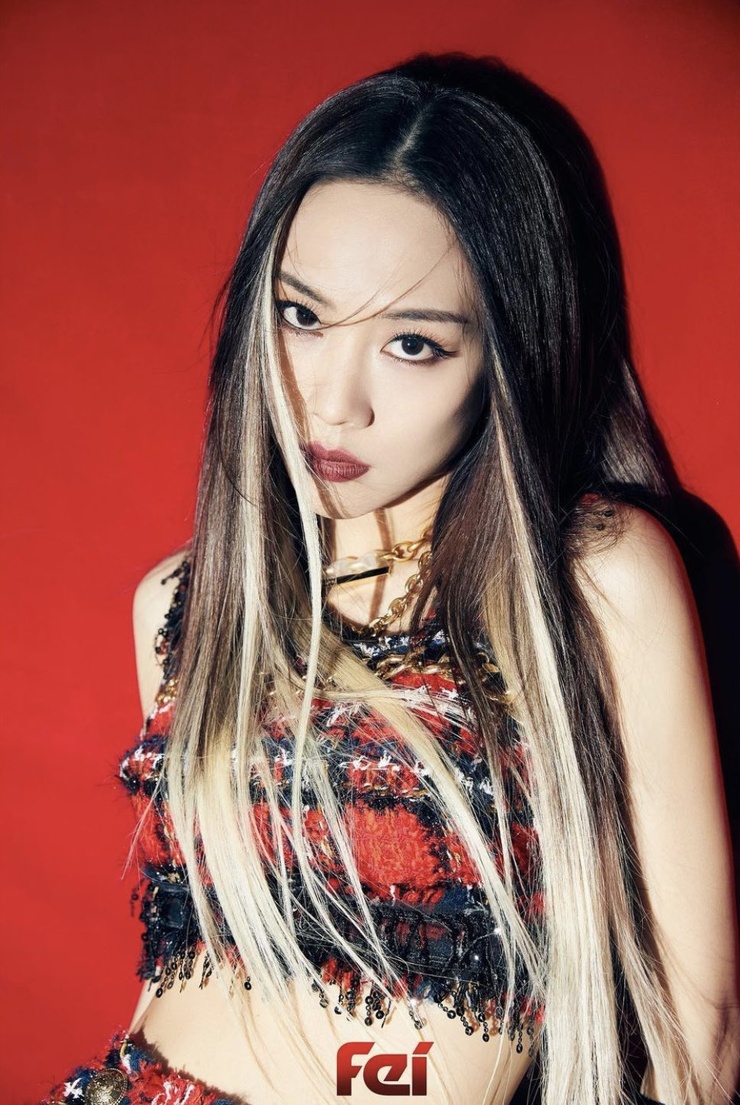Wang Fei Fei