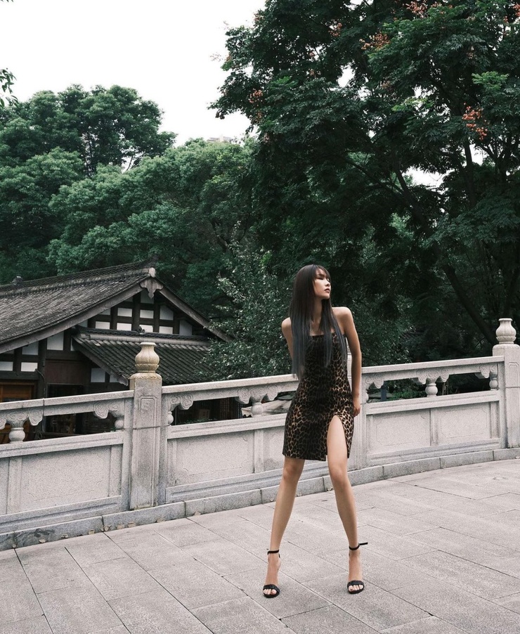 Wang Fei Fei