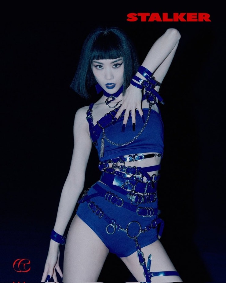 Wang Fei Fei