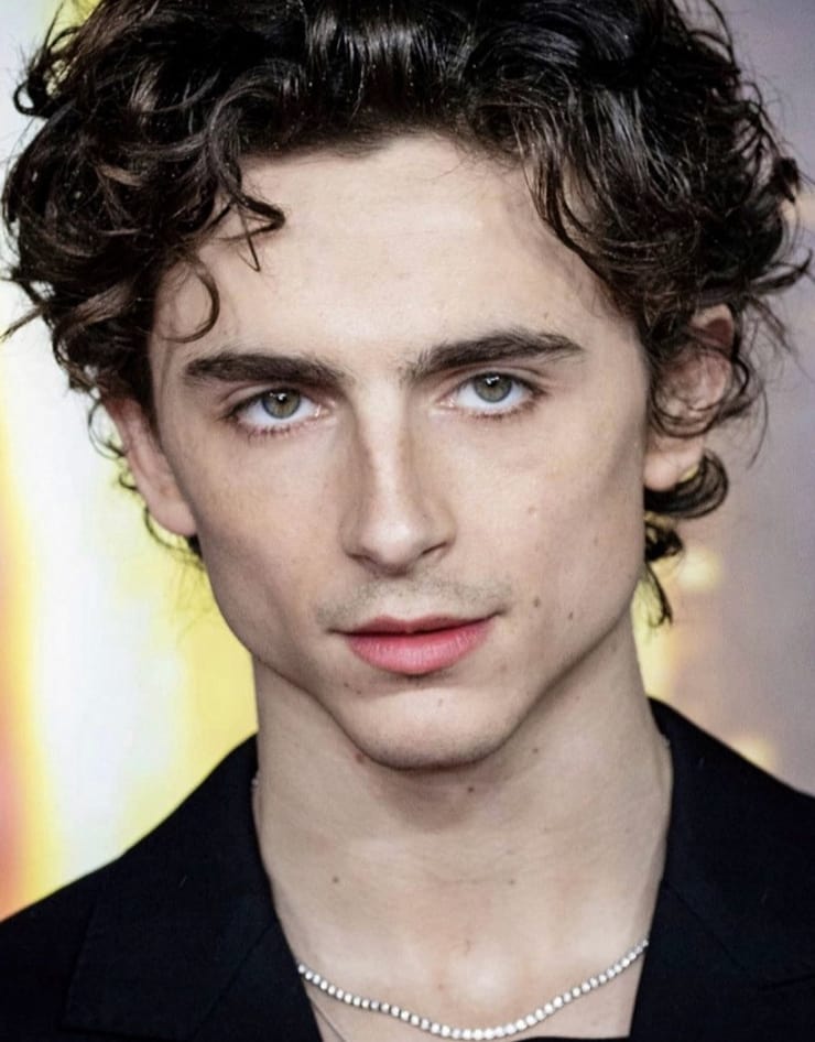 Timothée Chalamet