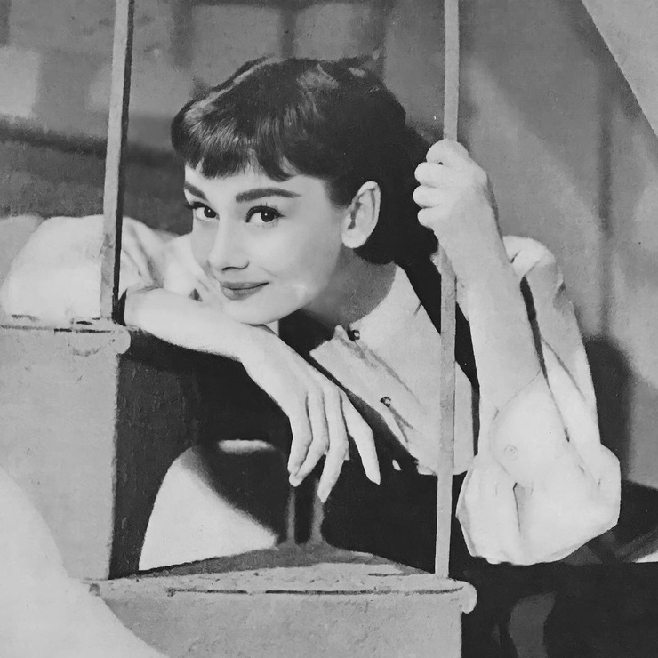 Audrey Hepburn Audrey Hepburn
