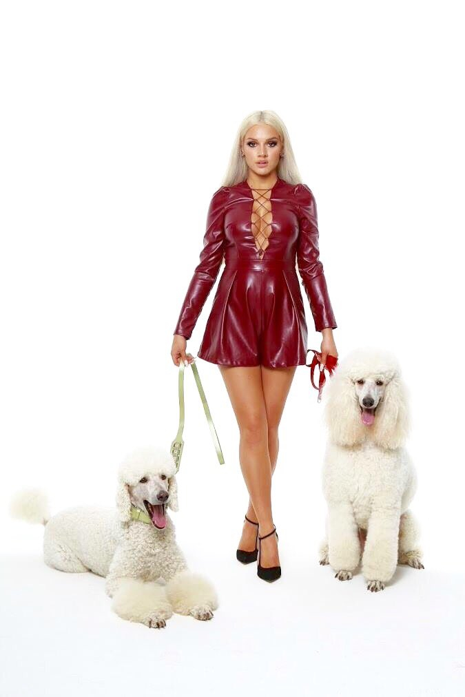 Shirin David