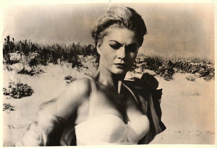 Barbara Wilkin