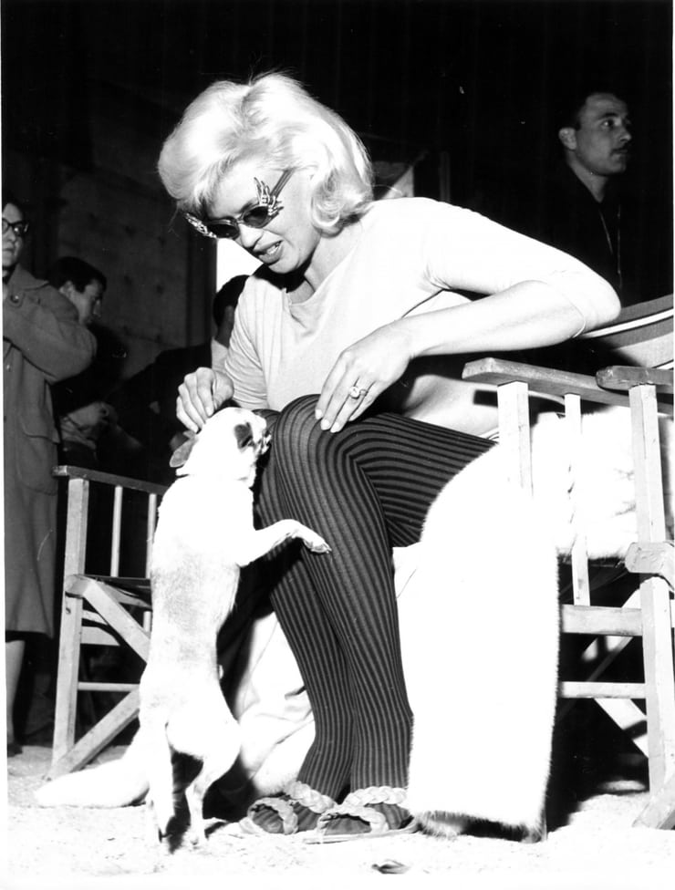 25 Best Memes About Jayne Mansfield Jayne Mansfield Memes