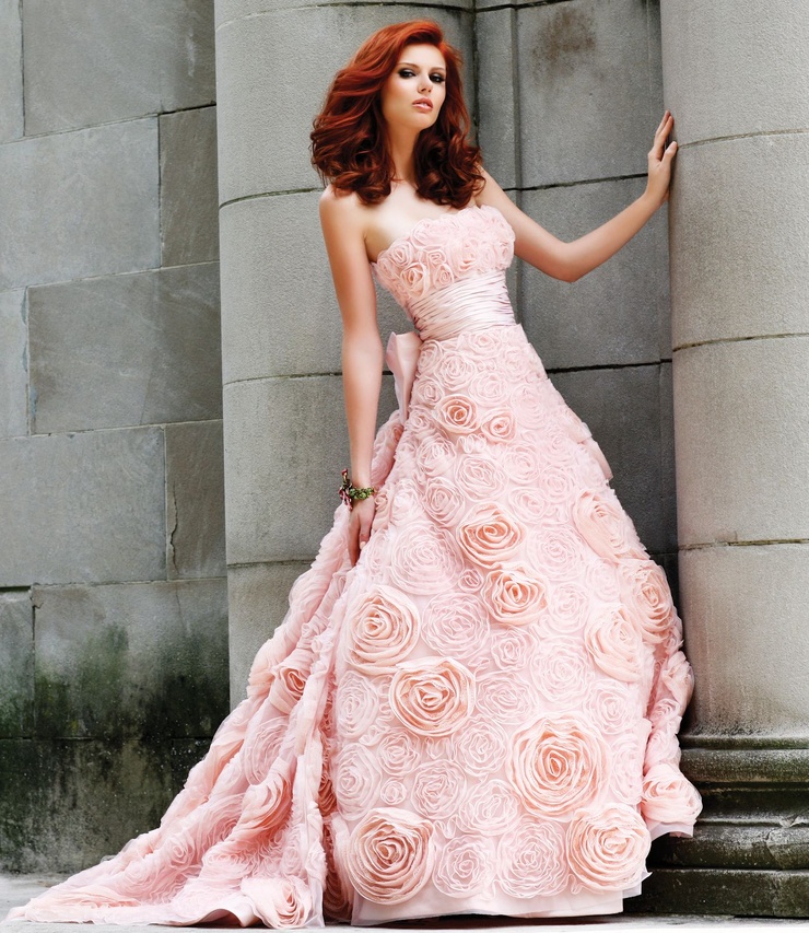 Alyssa Campanella Alyssa Campanella