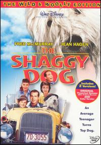 The Shaggy Dog