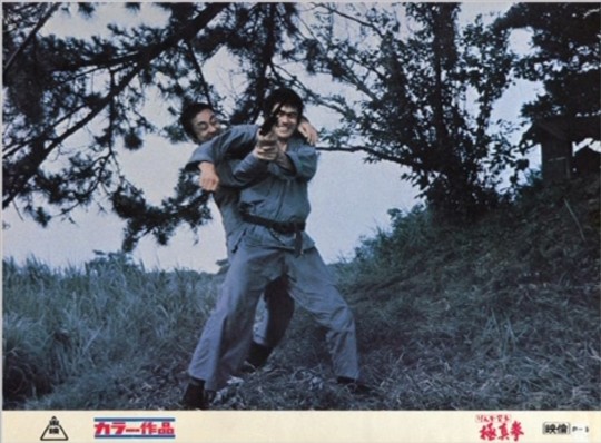 Karate Bullfighter (aka Champion of Death)